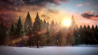 Sunset Forest Free Winter Background Videos, Motion Graphics, No Copyright | All Background Videos